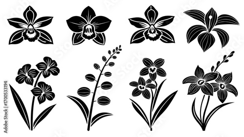 Exotic Orchid Silhouettes flower botanical