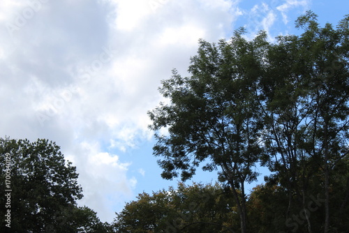 Photos du paysage de jouy-le-Moutier par un beau ciel bleu