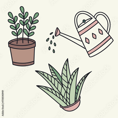 Potted Plants and Watering Can aloe vera gardening