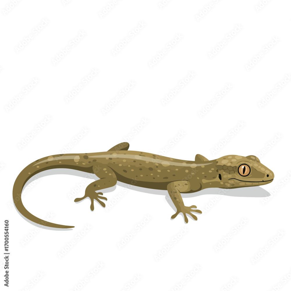 Naklejka premium Cartoon Gecko with Brown Spotted Skin and Large Eye.