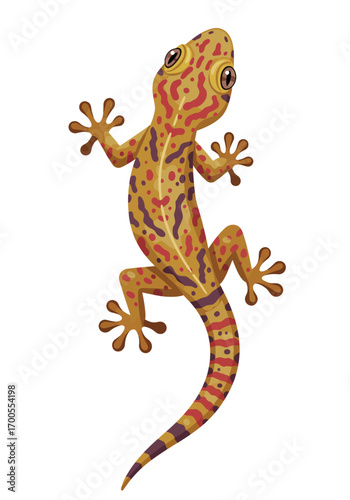 Cartoon Gecko with StarShaped Toes and Colorful Markings.