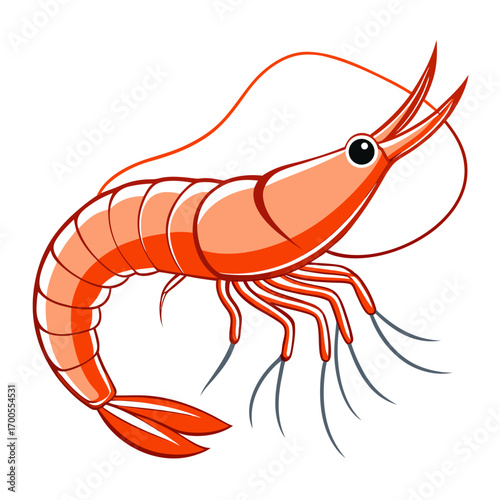 shrimp on white background