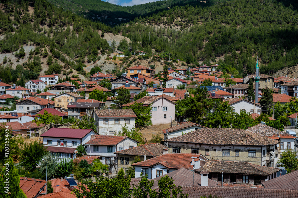 Fototapeta premium Panoramic hillside view of Taraklı town