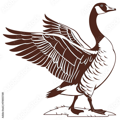 Wild Bird Canada Goose Vector Art

