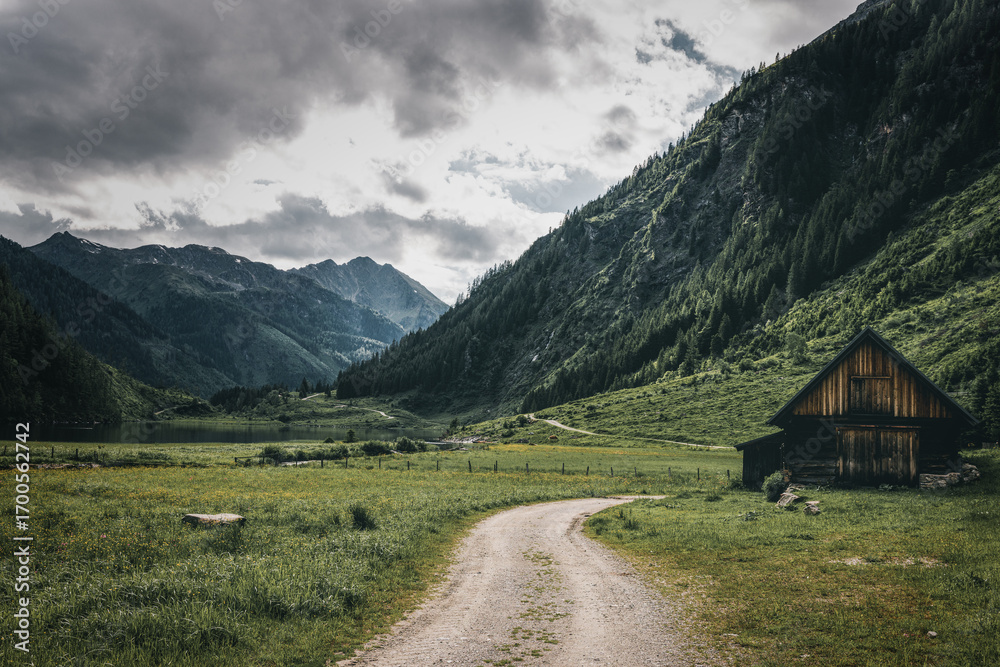 Obraz premium A Rustic Alpine Hut and Winding Path in the Riesach Valley