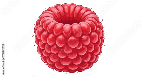 Realistic ripe raspberry with juicy details on white background