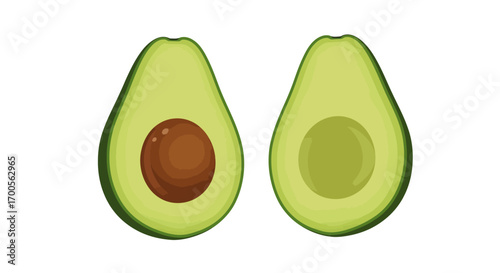 Realistic avocado halves with seed and seedless in fresh green style