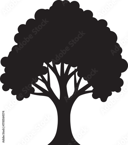 Detailed silhouette of a mature tree with spreading branches and a textured trunk