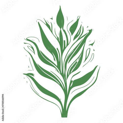 aloe flower illustration green