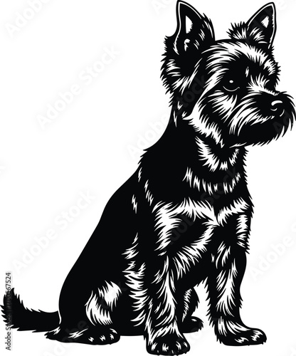 Black and white illustration of Yorkshire Terrier dog, small breed pet sitting upright, detailed fur texture, animal portrait concept, vector art, realistic style