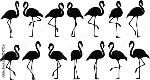 Black silhouette illustration of twelve flamingos in different poses, standing and walking, tropical bird collection concept, vector art, flat design, minimal style