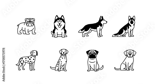Collection of Dog Breed Line Art Illustrations