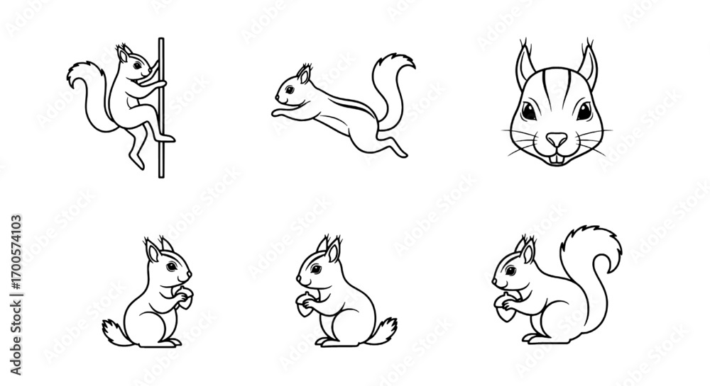 Fototapeta premium Squirrel Outline Vector Set Cute Wildlife Illustrations