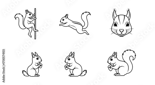 Squirrel Outline Vector Set Cute Wildlife Illustrations