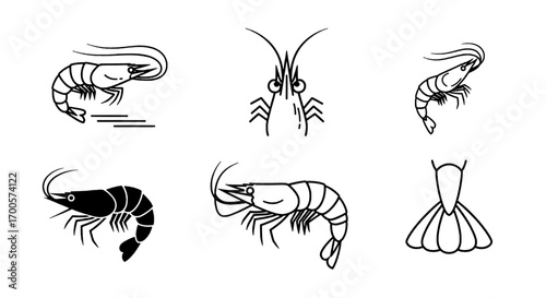 Shrimp Icon Set Crustacean Vector Illustrations