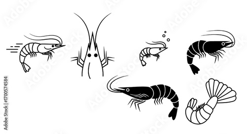 Collection of Shrimps Black and White Vector Illustrations