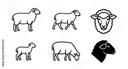 Various Sheep Outlines and Lamb Graphics for Design Use