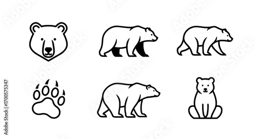 Bear Illustrations Head, Walking, Sitting, Paw Print Outlines for Graphic Design