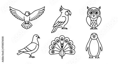 Collection of Vector Outline Bird Icons Eagle, Owl, Parrot, and More