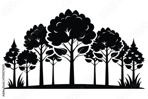 Silhouette Illustration Featuring Various Deciduous Trees and Evergreens in Black Against Simple Background