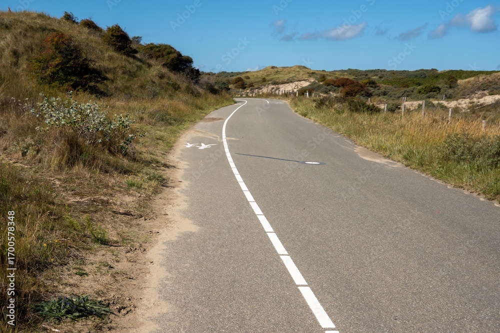 Winding road through coastal dunes invites exploration on sunny day Winding road through coastal dunes invites exploration on sunny day