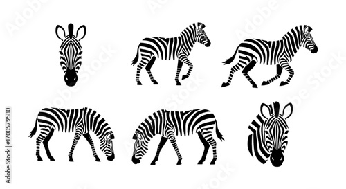 Collection of Stylized Zebra Illustrations in Various Poses