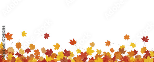Wallpaper Mural Autumn leaves background, Autumn banner with orange leaves, with copy space, isolated on white or transparent background Torontodigital.ca