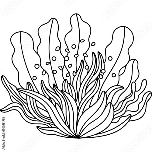 Black and white illustration of underwater seaweed and plant life, a simple and elegant depiction of marine flora