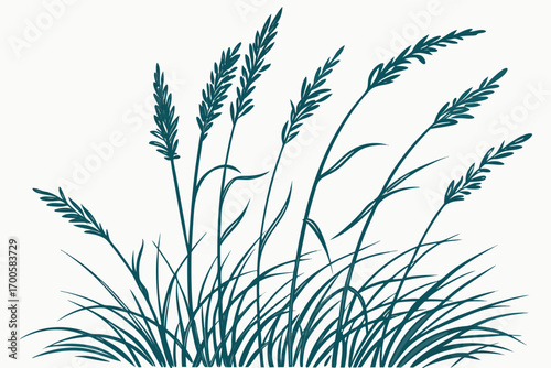 grass vector illustration