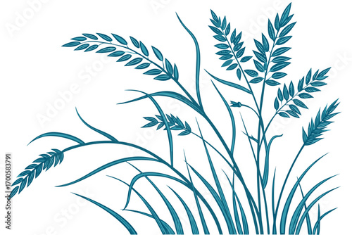 wheat ears vector illustration