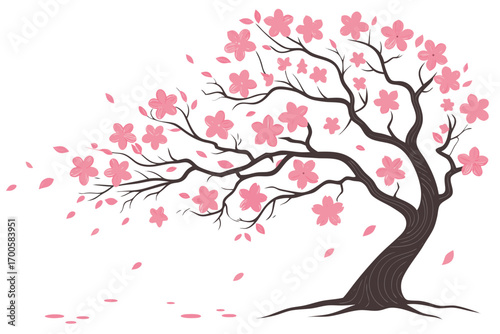 cherry blossom vector