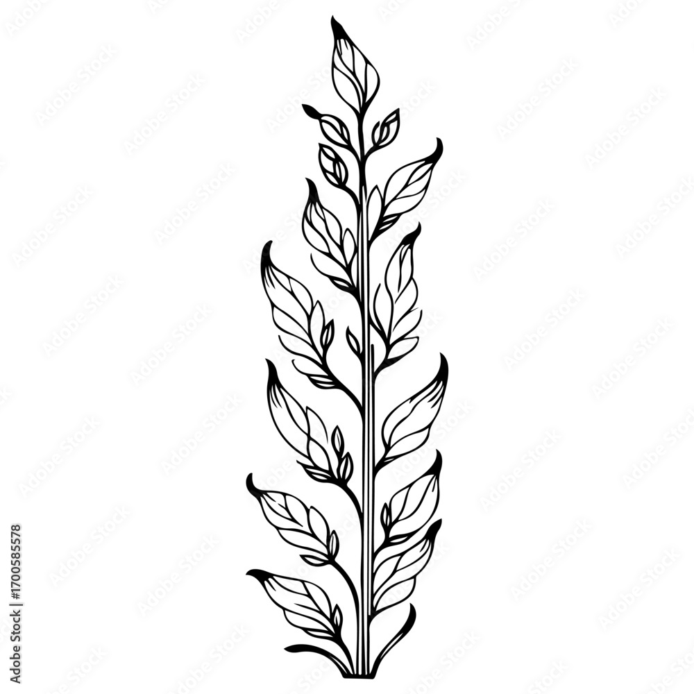 Fototapeta premium tulip flower illustration sketch hand draw