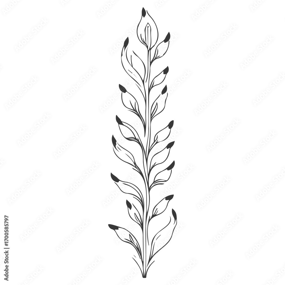 Naklejka premium tulip flower illustration grey