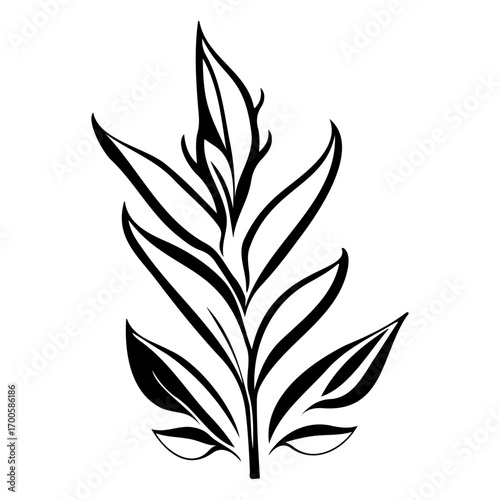 aloe flower illustration sketch