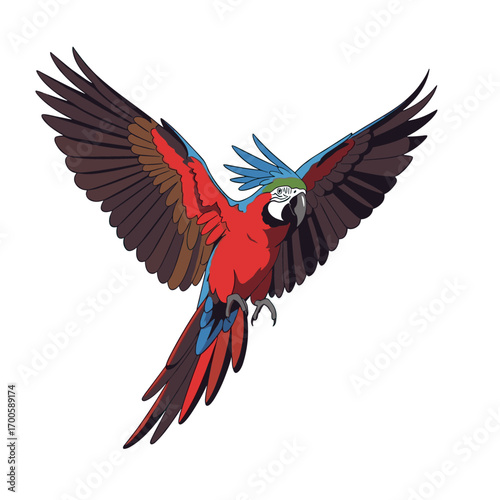 A beautifully colored macaw parrot flying with its wings spread wide showing its vibrant plumage