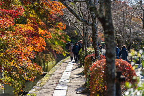 The tranquil Philosopher's Path (Tetsugaku no michi) in Kyoto, a stone walkway along a canal lined with autumn foliage. Sakyo-ku, Kyoto, Japan.