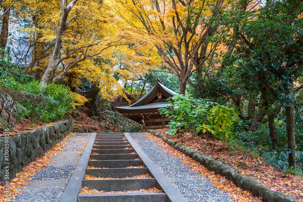 Obraz premium Hyogo, Japan. Arima Onsen Tansan Sen-gen Koen (Carbonated Hot Spring Source Park), showcasing beautiful autumn scenery.