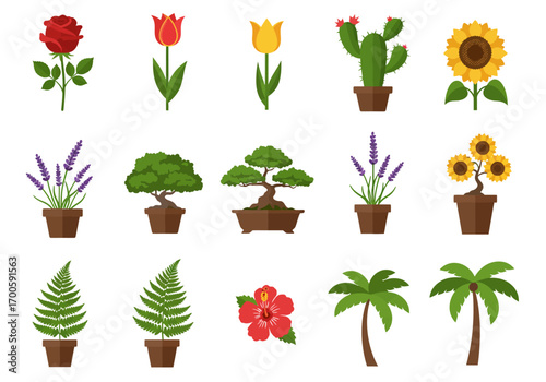 Various plants rose tulip cactus sunflower bonsai fern hibiscus  palm some potted on a white background