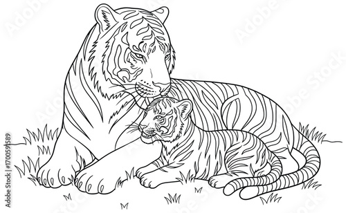 Tiger vector illustration of a mother with her cub resting together on grass showing family bonding and care drawn in bold smooth cartoon outlines for creative wildlife themed projects