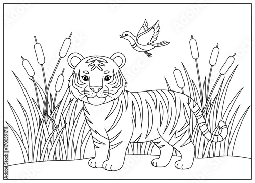 Tiger vector illustration of a cute young cub standing among tall reeds with a bird flying above drawn in bold smooth cartoon outlines for creative wildlife and nature themed projects