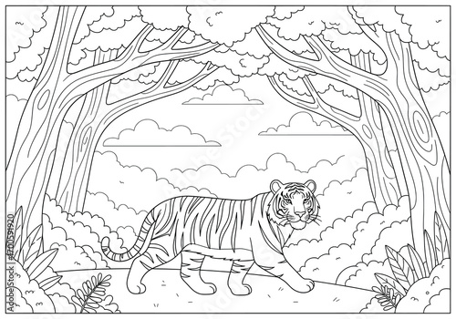 Tiger vector illustration of a majestic feline walking gracefully along a forest trail with tall trees and plants around while clouds drift in the background in bold cartoon line art style