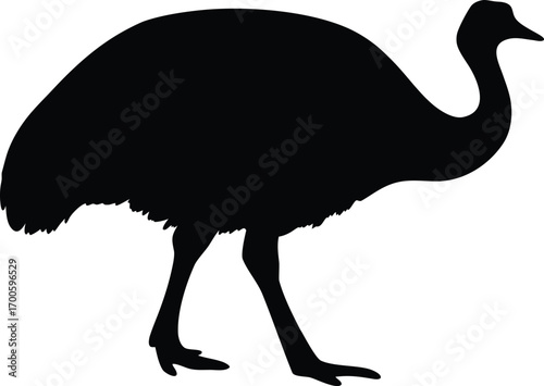 Emu bird silhouette vector, Ostrich silhouette vector