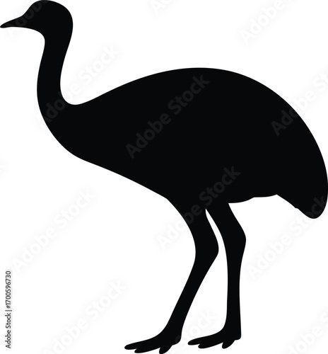 Emu bird silhouette vector, Ostrich silhouette vector