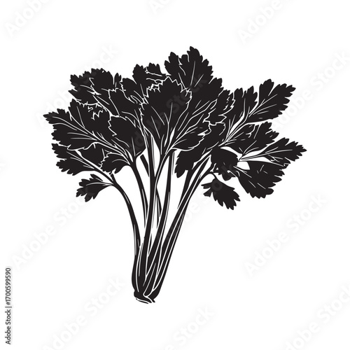 Celery vector silhouette.