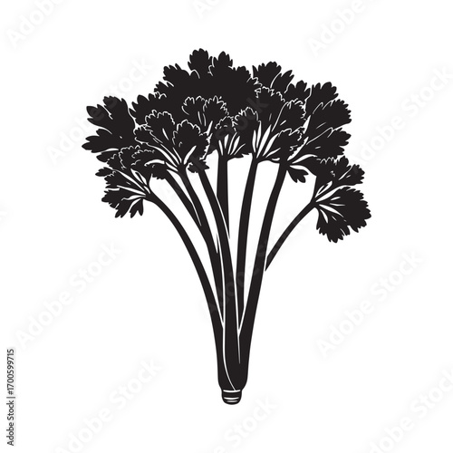Celery vector silhouette.