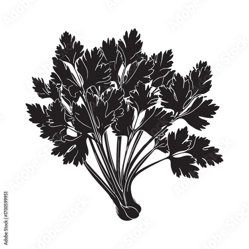 Celery vector silhouette.
