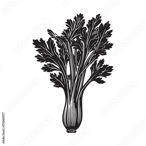 Celery vector silhouette.