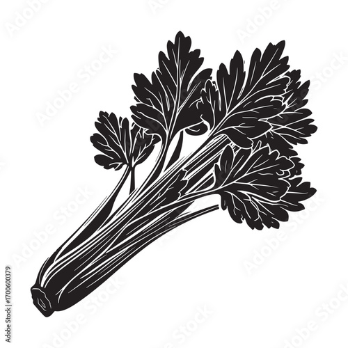 Celery vector silhouette.