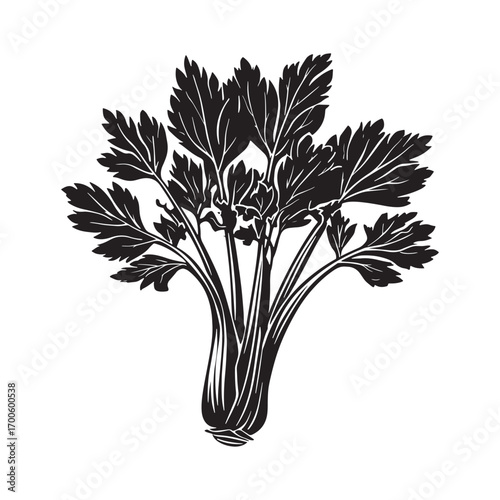 Celery vector silhouette.