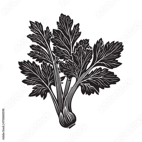 Celery vector silhouette.
